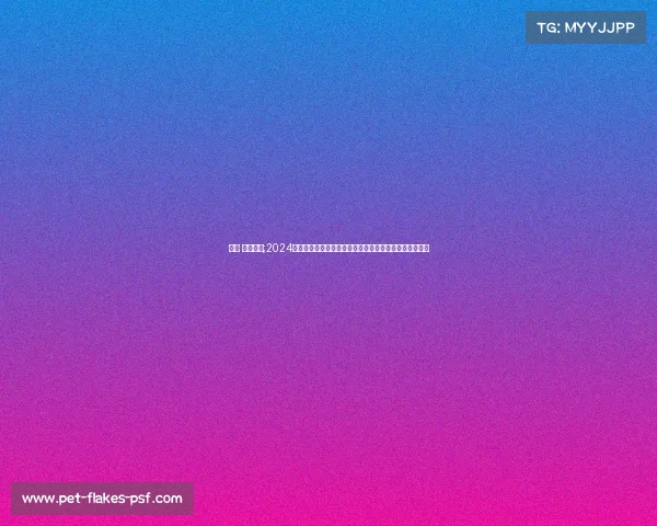 越南 中国比赛;2024越南杯足球赛事全面开战各路豪强齐聚奋力争夺冠军荣耀