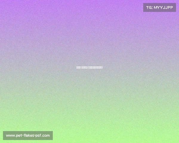 运动会 赛事手册(运动会赛事流程目录)