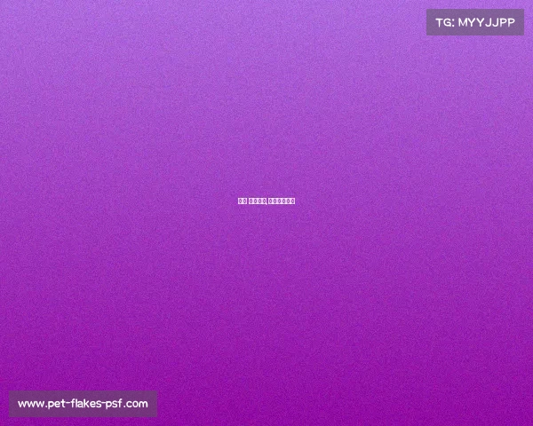 政策 网球赛事,网球比赛赛事