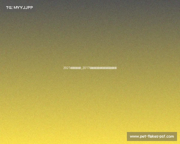 2021达喀尔参赛车队_2017达喀尔拉力赛勇者征途极限挑战荣耀时刻