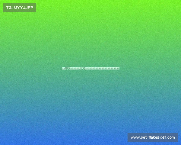 女子800米赛事—女子800米赛事激情四射巾帼英雄奋力拼搏争夺荣誉巅峰对决