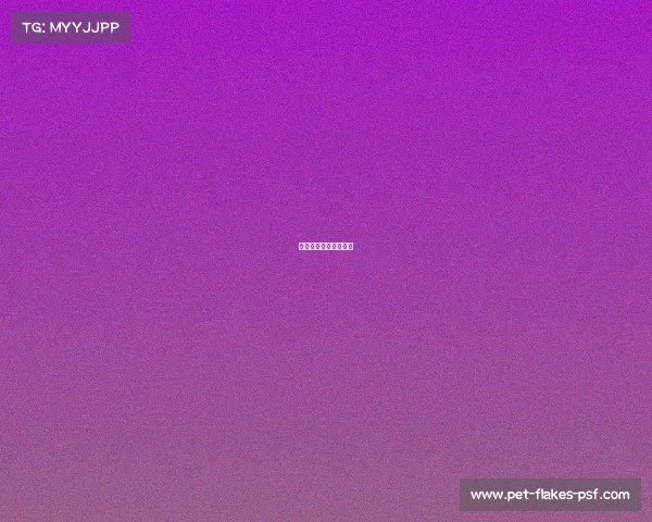 摔跤赛事裁判员碰头会