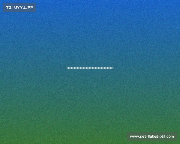 粤港澳大湾区清远站体育盛会激情开赛引领全民健身潮流共创活力城市