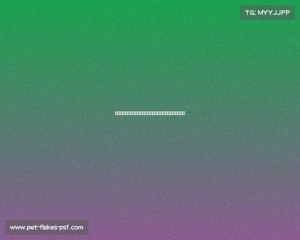 聚焦中国女超争冠赛事绿茵场上十强争霸谁能最终捧起冠军奖杯